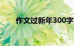 作文过新年300字 去拜年作文600字