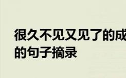 很久不见又见了的成语 形容很久没见又重逢的句子摘录