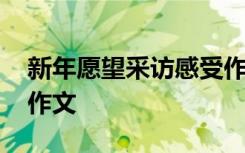 新年愿望采访感受作文八百字 新年愿望采访作文