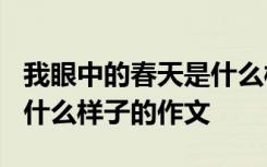 我眼中的春天是什么样子的? 我眼中的春天是什么样子的作文