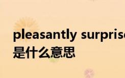 pleasantly surprised翻译中文 pleasantly是什么意思