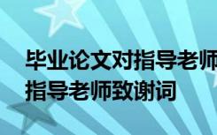 毕业论文对指导老师的致谢语 本科毕业论文指导老师致谢词