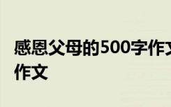 感恩父母的500字作文高中 感恩父母的500字作文