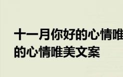 十一月你好的心情唯美文案图片 十一月你好的心情唯美文案