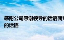 感谢公司感谢领导的话语简短精辟一句话 感谢公司感谢领导的话语