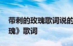 带刺的玫瑰歌词说的啥意思 何静《带刺的玫瑰》歌词