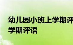 幼儿园小班上学期评语大全集 幼儿园小班上学期评语