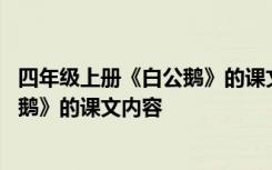 四年级上册《白公鹅》的课文内容是什么 四年级上册《白公鹅》的课文内容