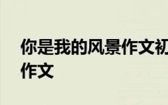 你是我的风景作文初三800字 你是我的风景作文