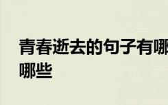 青春逝去的句子有哪些呢 青春逝去的句子有哪些