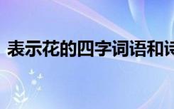 表示花的四字词语和诗句 表示花的四字词语