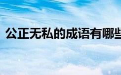 公正无私的成语有哪些 公正无私的成语解释