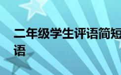 二年级学生评语简短优美句子 二年级学生评语