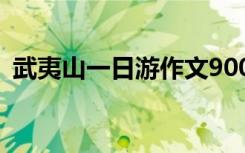 武夷山一日游作文900字 武夷山一日游作文