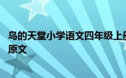 鸟的天堂小学语文四年级上册 四年级上册《鸟的天堂》课文原文