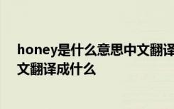 honey是什么意思中文翻译成什么字 honey是什么意思中文翻译成什么