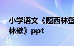 小学语文《题西林壁》教案 小学语文《题西林壁》ppt