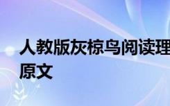 人教版灰椋鸟阅读理解答案 初中灰椋鸟课文原文