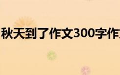 秋天到了作文300字作文 秋天到了作文400字