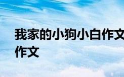 我家的小狗小白作文怎么写 我家的小狗小白作文