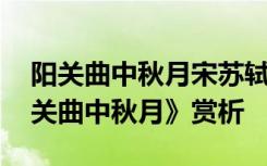 阳关曲中秋月宋苏轼的古诗翻译 苏轼的《阳关曲中秋月》赏析