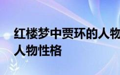 红楼梦中贾环的人物形象 浅析红楼梦贾环的人物性格