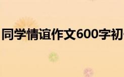 同学情谊作文600字初一 同学情谊作文600字