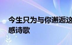 今生只为与你邂逅这首歌 今生只为邂逅你情感诗歌