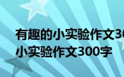 有趣的小实验作文300字三年级鸡蛋 有趣的小实验作文300字