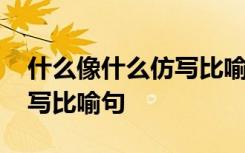 什么像什么仿写比喻句六年级 什么像什么仿写比喻句