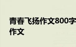 青春飞扬作文800字记叙文 青春飞扬的年代作文