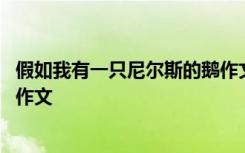 假如我有一只尼尔斯的鹅作文课件 假如我有一只尼尔斯的鹅作文