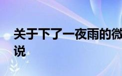 关于下了一夜雨的微信说说 雨下了一夜的说说