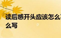 读后感开头应该怎么写? 读后感的开头应该怎么写