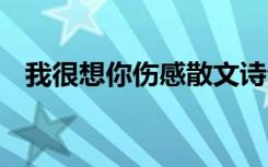 我很想你伤感散文诗句 我很想你伤感散文