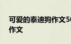 可爱的泰迪狗作文500字以上 可爱的泰迪狗作文