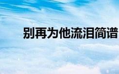 别再为他流泪简谱 别再为他流泪诗歌