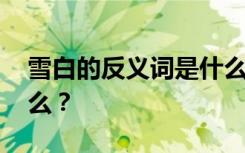 雪白的反义词是什么意思 雪白的反义词是什么？