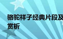 骆驼祥子经典片段及赏析 骆驼祥子经典好句赏析