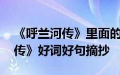 《呼兰河传》里面的好词好句 萧红《呼兰河传》好词好句摘抄