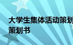 大学生集体活动策划书模板 大学生集体活动策划书