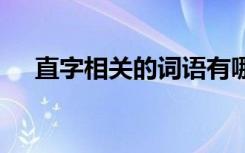 直字相关的词语有哪些 直字相关的词语