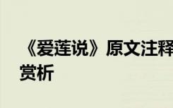 《爱莲说》原文注释 《爱莲说》原文及译文赏析