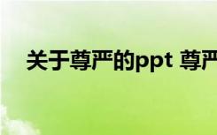 关于尊严的ppt 尊严的ppt教学课件资料