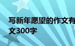 写新年愿望的作文有哪些 描写新年愿望的作文300字