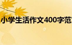 小学生活作文400字范文 小学生活作文400字