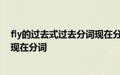 fly的过去式过去分词现在分词复数 fly的过去式过去分词和现在分词