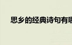 思乡的经典诗句有哪些 思乡的经典诗句