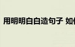 用明明白白造句子 如何使用明明白白的造句