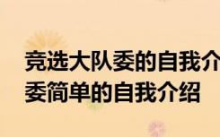 竞选大队委的自我介绍应该怎么写 竞选大队委简单的自我介绍